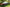 Reon's Spoilers And Bodykits Review