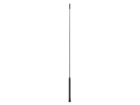 12V Roof Antenna for Ford Focus (2000 - 2007)-Spoilers and Bodykits Australia