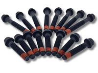 16x Cylinder Head Bolts for VS / VT / VU / VX / VY Holden Commodore 3.8L V6 / Supercharged-Spoilers and Bodykits Australia