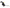 Airbag Clock Spring for Honda City (2015 - 2019)-Spoilers and Bodykits Australia