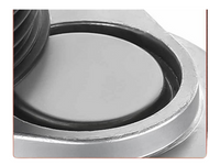 Belt Tensioner for VT / VU / VX / VY / VZ Holden Commodore / WH / WK / WL Statesman 5.7L LS1 - Spoilers and Bodykits Australia