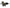 Clutch Slave Cylinder for GQ Nissan Patrol & Ford Maverick TB42S / TD42-Spoilers and Bodykits Australia