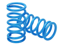 Coilover Lowering Kit for Mazda RX8 SE3P Type E / Type S - 24-Way Adjustable (2003 - 2008)-Spoilers and Bodykits Australia