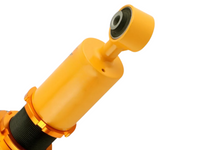 Coilover Lowering Kit for Nissan Sentra - Adjustable Height (2000 - 2006)-Spoilers and Bodykits Australia