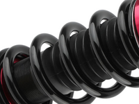 Coilover Lowering Kit for VT / VX / VY / VZ Holden Commodore / Statesman WH - 24-Way Adjustable (1997 - 2006)-Spoilers and Bodykits Australia