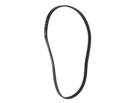 Drive Belt for Toyota Avalon (1995 - 2004)-Spoilers and Bodykits Australia