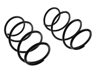 Front & Rear Coil Springs x4 for BMW E46 318i 1.9L Petrol M43 B19 (10/1999 - 09/2001)-Spoilers and Bodykits Australia