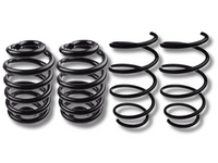 Front & Rear Coil Springs x4 for BMW X3 E83 3.0L M57 D30 (2004 - 2010)-Spoilers and Bodykits Australia