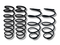 Front & Rear Coil Springs x4 for BMW X3 F25 xDrive 20d / 20i / 28i (09/2010 - 08/2017)-Spoilers and Bodykits Australia