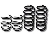 Front & Rear Coil Springs x4 for Mini Cooper S R50 / R53 1.6L (2002 - 2006)-Spoilers and Bodykits Australia
