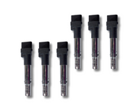 Ignition Coils x 6 Volkswagen Passat / Touareg / Golf & Audi A3 / Q7 / TT 3.2L / 3.6L - Spoilers and Bodykits Australia