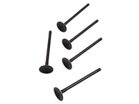 Intake & Exhaust Valve Set x20 for Volvo C30 / S60 / S70 / V40 / XC60 – 6mm Stem-Spoilers and Bodykits Australia