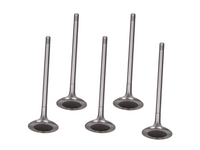 Intake & Exhaust Valve Set x20 for Volvo C30 / S60 / S70 / V40 / XC60 – 6mm Stem-Spoilers and Bodykits Australia