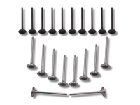 Intake & Exhaust Valve Set x20 for Volvo C30 / S60 / S70 / V40 / XC60 – 6mm Stem-Spoilers and Bodykits Australia