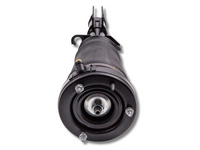 Left Front Air Suspension Strut for BMW X5 E53 3.0L / 4.4L (2000 - 2006)-Spoilers and Bodykits Australia