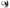 Left Passenger Side Electric Door Mirror for Volkswagen Transporter T5 - Black (2009 - 2015)-Spoilers and Bodykits Australia