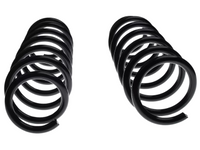 Left & Right Front Coil Springs x2 for BMW F10 / F11 520d / 520i / 528i / 535i / 530d (01/2010 - 02/2017)-Spoilers and Bodykits Australia