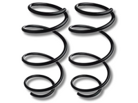 Left & Right Front Coil Springs x2 for BMW F20 116i / 118i 1.6L / 1.5L Petrol (2011 - 2019)-Spoilers and Bodykits Australia