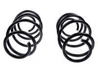 Left & Right Front Coil Springs x2 for BMW F25 / F26 xDrive 30d / 35d / 35i 3.0L (04/2011 - 03/2018)-Spoilers and Bodykits Australia