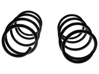 Left & Right Rear 310mm Coil Springs x2 for BMW E60 530d / 545i 3.0L / 4.4L (2002 - 2007)-Spoilers and Bodykits Australia