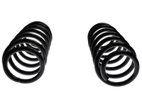 Left & Right Rear Coil Springs x2 for BMW X3 F25 xDrive 20d / 20i / 28i / 30d 2.0L / 3.0L (2010 - 2017)-Spoilers and Bodykits Australia