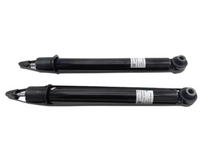 Left & Right Rear Shock Absorbers for Tesla Model 3 M3 RWD / AWD (2017 - 2021)-Spoilers and Bodykits Australia