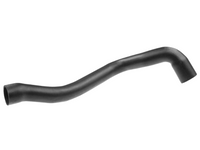Lower Radiator Coolant Hose for BMW E38 535i / 540i / E39 730i / 740i M62 / M60 Sedan-Spoilers and Bodykits Australia