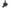 Oil Level Sensor for Audi A3 / A4 / A6 / A8 / TT / Allroad & Skoda Octavia / Roomster / Superb-Spoilers and Bodykits Australia