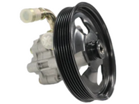 Power Steering Pump for Holden Statesman WM (2006 - 2013)-Spoilers and Bodykits Australia