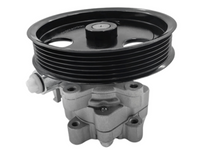 Power Steering Pump for LDV G10 / V80 Van 2.5L 4 Cyl Diesel (2013 Onwards)-Spoilers and Bodykits Australia