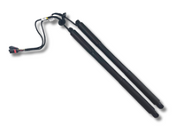 Rear Power Tailgate Gas Struts x2 for Volvo XC60 156 D3 / D4 / D5 (2008 - 2019)-Spoilers and Bodykits Australia