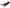Right Driver Side Head Light for 200 Series Toyota Landcruiser FJ200 (2012 - 2015)-Spoilers and Bodykits Australia