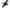 Right Side Engine Mount for Mazda 2 1.3L / 1.5L Automatic (2007 Onwards)-Spoilers and Bodykits Australia