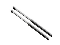 Tailgate Gas Struts for Volkswagen Beetle Hatchback (1998 - 2010) - Pair - Spoilers and Bodykits Australia