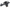 Vacuum Pump with Pin Dowel Set for Hyundai iLoad / iMax 2.5L (2007 - 2011)-Spoilers and Bodykits Australia
