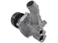 Water Pump for LDV G10 1.9L Turbo Diesel (2016 Onwards)-Spoilers and Bodykits Australia