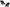 LED Tail Lights for Suzuki Swift - Black - Altezza Style (2004 - 2010 Models) - Spoilers And Bodykits Australia