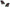 Tail Lights for Suzuki Swift - Altezza Style (2004 - 2010 Models) - Spoilers And Bodykits Australia
