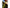 Bonnet Scoop for PX 2 Ford Ranger - Vented (2015 - 2018 Models) - Spoilers and Bodykits Australia